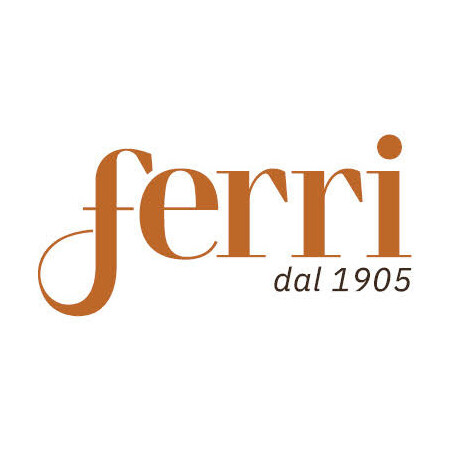 La storia del giorno: Ferri dal 1905